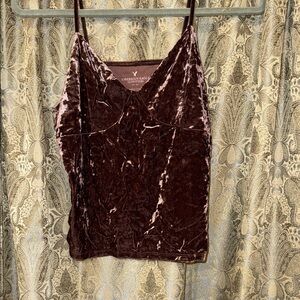 American Eagle Outfitters Velvet Cami Top - Brown